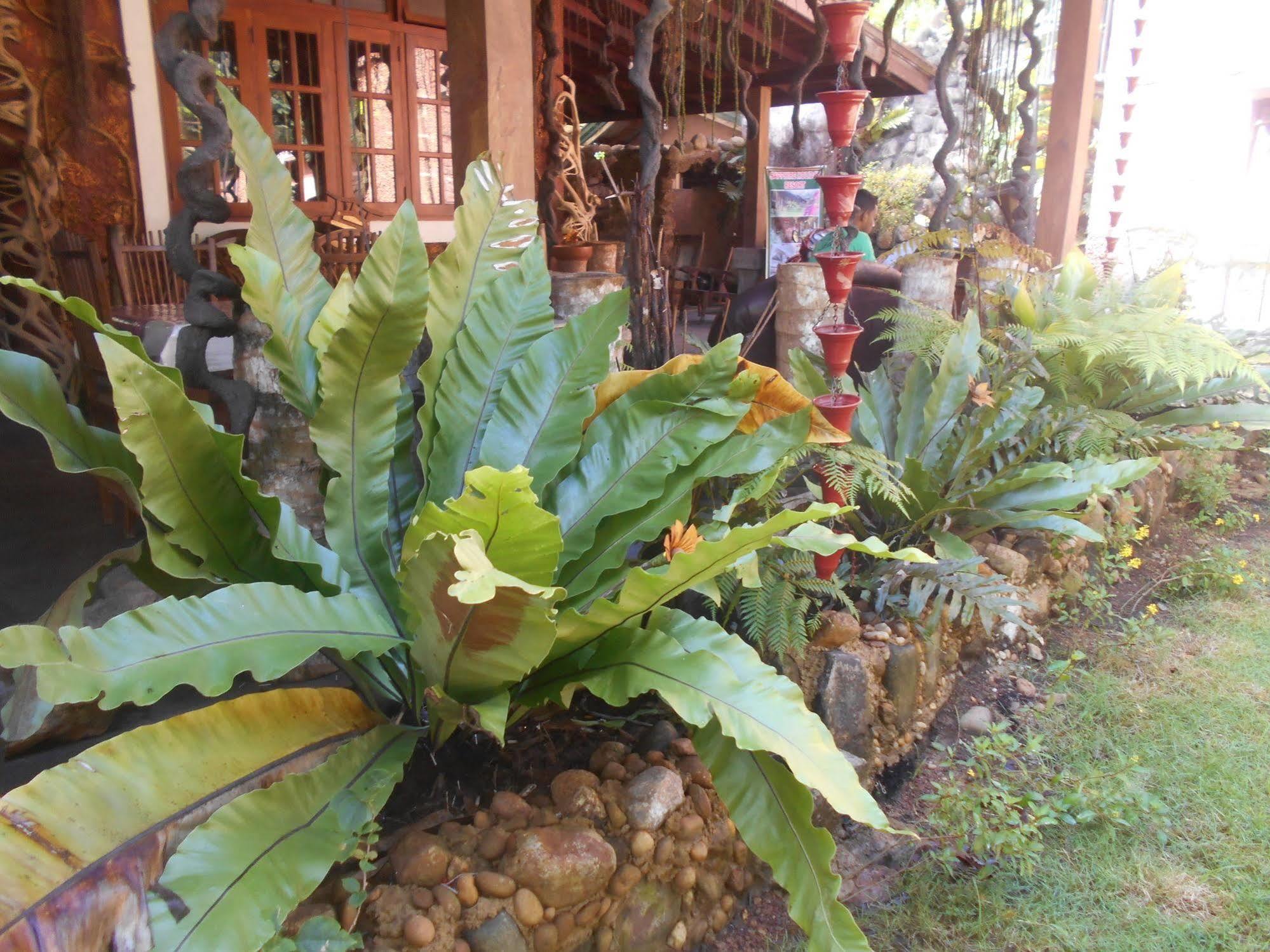 Sapphire Holiday Resort Ratnapura Esterno foto